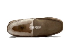 Ascot Olive