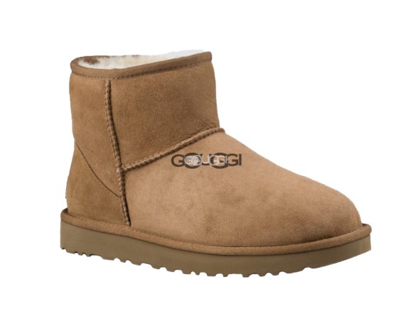 Classic Mini Chestnut II