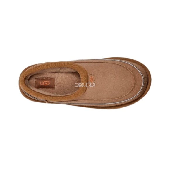 Men Tasman Cali Wave Chestnut/Orange Soda